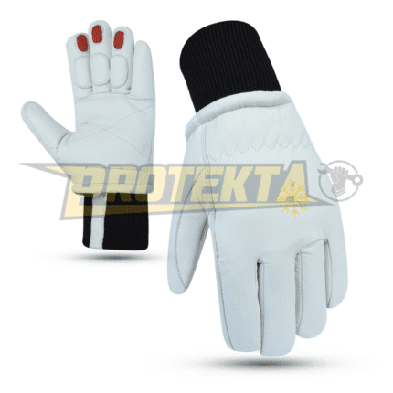 Winter Gloves