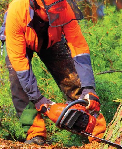 Chainsaw Gloves image